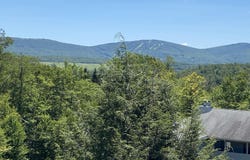 31 Beech Lodge Court, Davis, WV 26260