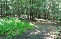 Rolling Meadow Lane, Pound Ridge, NY 10576