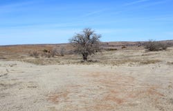 209 County Road, Freedom, OK 73842