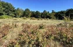 229-052 Rte 109 Route, Acton, ME 04001