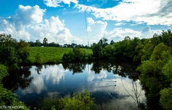346 Christenson Rd, Deer Lodge, TN 37726