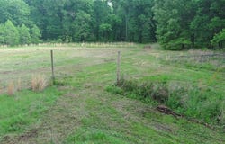Savage Road, Daisy, OK 74540