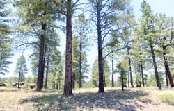 3235 S Tehama Circle, Flagstaff, AZ 86005