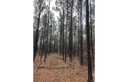 CR 324 Rd W, Iuka, MS 38852