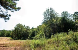 607 Upton Road, POPE, MS 38658