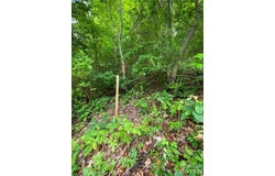 Shagbark Dr lot: 80, Sylva, NC 28779