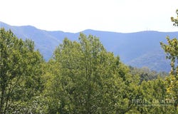 Venue Views Drive, Lansing, NC 28643