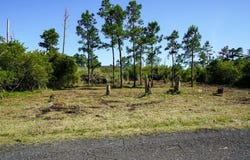 OAK DR lot: 19E, CHINCOTEAGUE, VA 23336