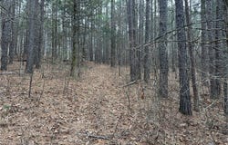NC 6220, Jasper, AR 72641