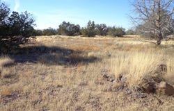 N Trackside Trail Lane, Ash Fork, AZ 86320