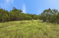PR 42101 lot: 97 Ph 6, Evant, TX 76525