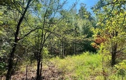 E Red Barn Road, Cave City, AR 72521