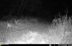 Hickory Blvd, Drakesville, IA 52537