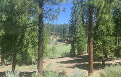 2104 Grizzly Ranch Road lot: 228, Portola, CA 96122