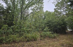 State Highway 76, Bradleyville, MO 65614