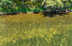 4418 TOWERING PINE TRL, Conover, WI 54519