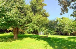 371 Pike Lake Road, Bainbridge, OH 45612