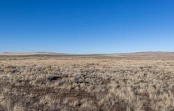 TL 3100 S Harney Lake Rd, Burns, OR 97720