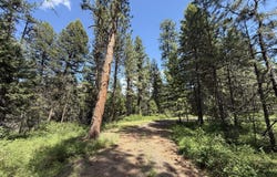 21 PINE GROVE St, REPUBLIC, WA 99166