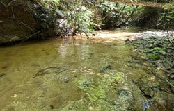 Co. Road 325, Troy, AL 36079