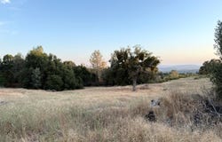 Buggy Whip Drive, Coarsegold, CA 93614