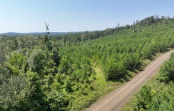 01 Carters Ferry Road, Hemphill, TX 75959