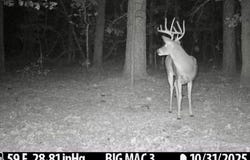 TBD Williams RD, Blanco, OK 74528