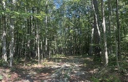Parkstown Ext lot: 70, Wilder, TN 38589