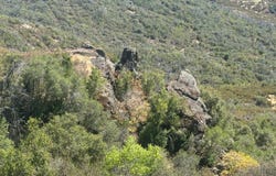 9200 E Side Potter Valley Road, Potter Valley, CA 95469