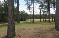160 Betty Sanderson Rd, WAYNESBORO, MS 39367