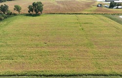 N 1000 W, Linton, IN 47441
