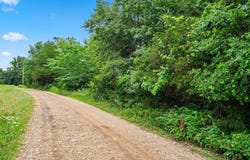Cedar Reef lot: 23, Lampe, MO 65681