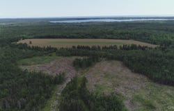 160 Acres Halverson Road, Gulliver, MI 49840