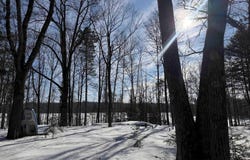 44870 County Hwy D, Cable, WI 54821-1111