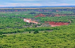 CR 4371, Goree, TX 76363