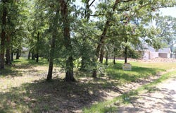 6 Deer Run, Star Harbor, TX 75148