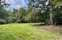 ## Cedar Creek Estate Road, Lucedale, MS 39452
