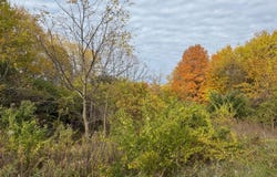 179 Collins Avenue, Benton Harbor, MI 49022
