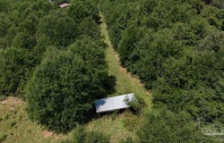 5.5 Acres Annie Penton Rd, Jay, FL 32565