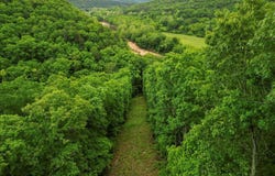 7064 County Road 14-223 E, Ava, MO 65608