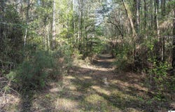 0C SHortstraw LONGSTRAW ROAD, Choudrant, LA 71227