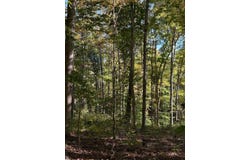 Cornwell Road, Scottsville, KY 42164