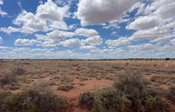 8357 Terry Trail, Snowflake, AZ 85937