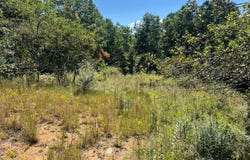 Hamilton Ridge Road, Alderson, WV 24910