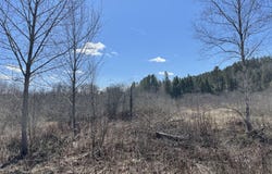 Gilman Road, Lyndon, VT 05851