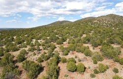 20202107c Honeysuckle Road, Williams, AZ 86046