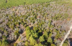 34 Tram Trail, Rattan, OK 74562