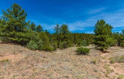TBD L Arnold Dr, Cotopaxi, CO 81223
