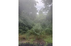 Heather Ridge Road lot: 6 Phase 2, Marshall, MI 49068