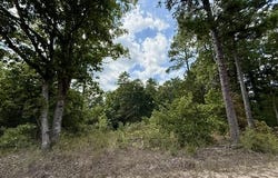 Texas Tower Road, Licking, MO 65542